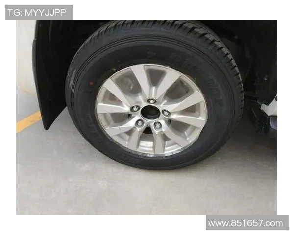 广州乒乓球队以98分领跑洲际杯积分榜展现强劲实力